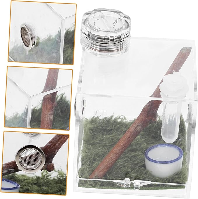 Mipcase 2pcs Box Jumping Spider Breeding Box Reptile Accessories Small Spider Enclosure Mini Critter Keeper Vivarium Tank Tarantula Cage Habitat Bracket Miniature Acrylic Little Spider