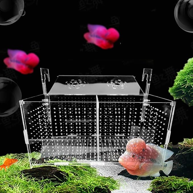 Fish Breeding Box - Acrylic Aquarium Fish Breeder Isolation Box for Fish Tank, Transparent Hatching Incubator Box with Suction Cups for - Clownfish Guppy Newborn Baby Fishes (12" x 6" x 6")