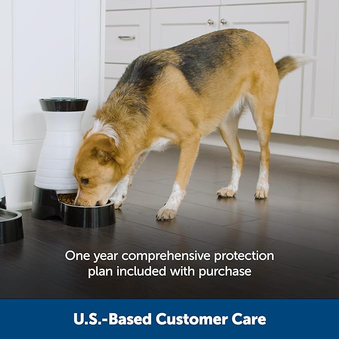 PetSafe Healthy Pet Food Station - Small, 2 lb Kibble Capacity - Gravity Pet Feeder Dry Food Dispenser - Automatic Cat Feeder or Small Dog Feeder - Removable Stainless Steel Bowl Included