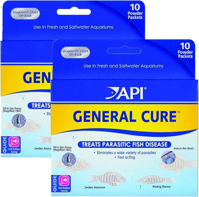 API Powder General Cure 20 pack