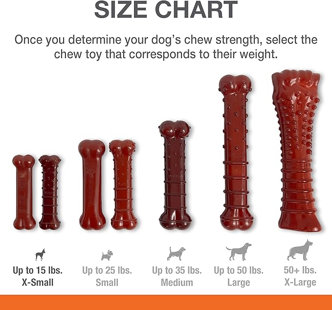 Nylabone Power Chew Classic Bone Chew Toy for Dogs, Durable Dog Toys for Aggressive Chewers, Basted Blast Bacon and Steak Flavor, X-Small/Petite (2 Count)