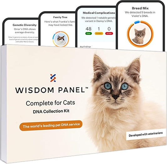 Wisdom Panel Complete: Comprehensive Cat DNA Test kit for 45 Health Genetic Health Conditions, 70+ Breeds and populations, 25+ Traits, Blood Type - 1 Pack