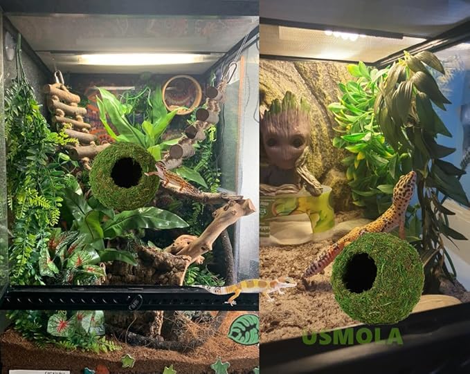 Mossy Caves, Artificial Green Moss Caves Hide for Pet Reptile Frogs and Snakes, Terrarium & Vivarium Decor, Crested Gecko Tank Decor (6" - Woodland Green)