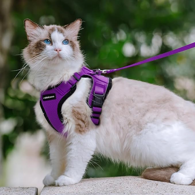 rabbitgoo Cat Harness and Leash for Walking, Escape Proof Soft Adjustable Vest Harnesses for Cats, Easy Control Breathable Reflective Strips Jacket, Purple, M