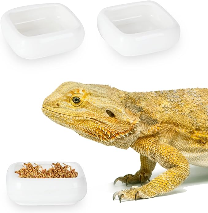 Reptile Food Bowls Ceramic Square Reptile Water Food Dish, Pet Food Bowl for Lizards, Young Bearded Dragons, Small Snakes, Gecko Tortoise Spider (White, Small 2-Pack)
