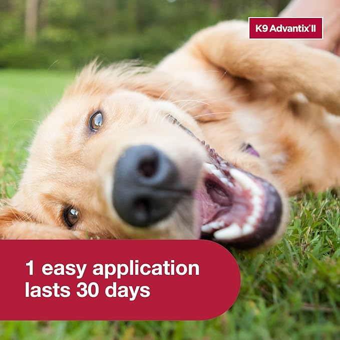 K9 Advantix II Medium Dog 11-20 lbs & Large Dog 21-55 lbs Vet-Recommended Flea, Tick & Mosquito Treatment & Prevention | 2-Mo Supply Each