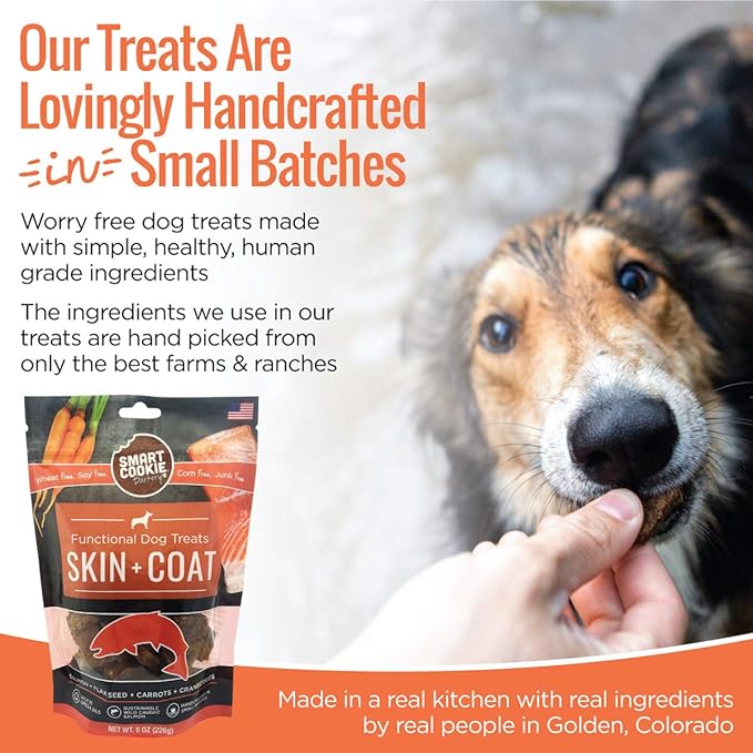 All Natural Dog Treats - Healthy Skin & Coat Salmon Dog Treats - Ideal for Sensitive Stomachs or Itchy, Allergic, Dry Skin - Dehydrated, Crunchy, Human-Grade, Made in USA - 8oz, Pack of 1