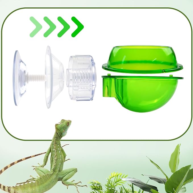 PINVNBY Reptile Bowl with Suction Cup,Chameleon Feeding Bowl,Gecko Food and Water Feeding Dish Pet Feeder Supplies Accessories for Lizards,Snakes,Bearded and Dragons(4 Pcs)