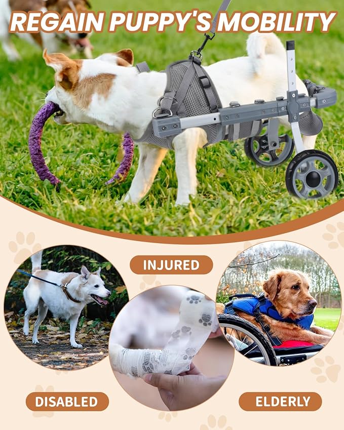 Wheelchairs for Dogs, Doggie Wheelchairs with Disabled Hind Legs Walking, Wheelchair for Dogs Back Legs Medium/Large, Lightweight Pet Wheelchair, Grey, M