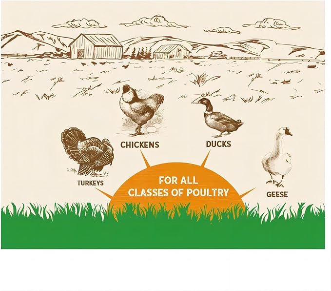 11 lb Black Soldier Fly Larva - BSFL is a high Calc-Rich Chicken Feed with More Calcium Than mealworms. Feeding with The Main Food is conducive to Laying hens