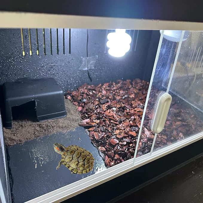 Reptile Basking Platform 2Pcs Tortoise Rock Plate Slate Feeding Platform Food Dish Bowl Turtle Bathing Rock Rest Terrace for Chameleon Lizard Bearded Dragon Gecko Snake Frog Newt (9.8''/25CM)