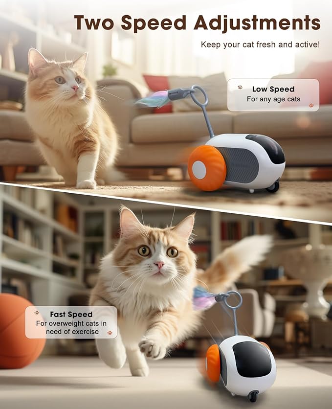 Cat Toys for Indoor Cats, Smart Interactive Cat Toy with 2-Speed Adjustment, Remote Control & USB Rechargeable Automatic Cat Exercise Toys for Bored Indoor Adult Cats Kittens (Orange)