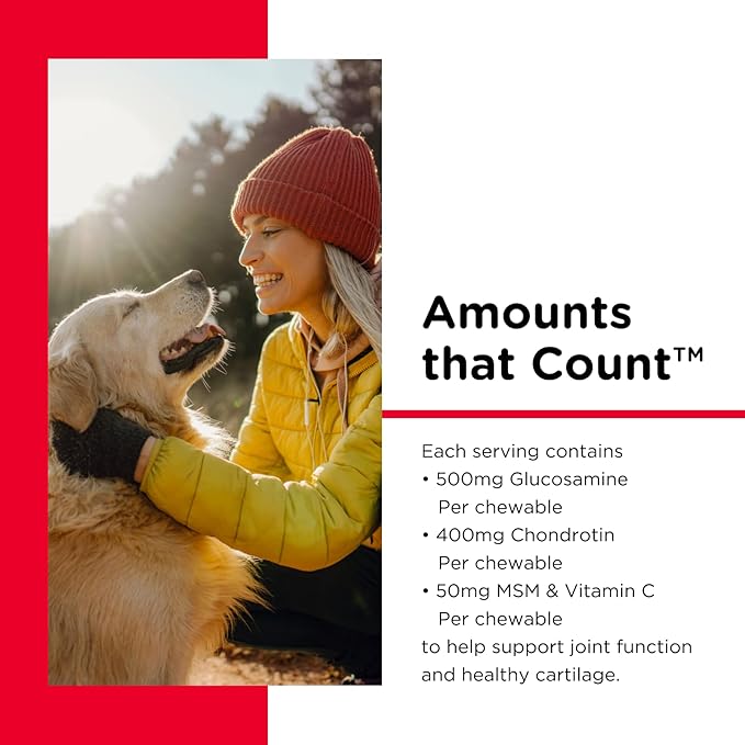 Nutri-Vet Hip & Joint Chewable Dog Supplements | Formulated with Glucosamine & Chondroitin for Dogs | 90 Count