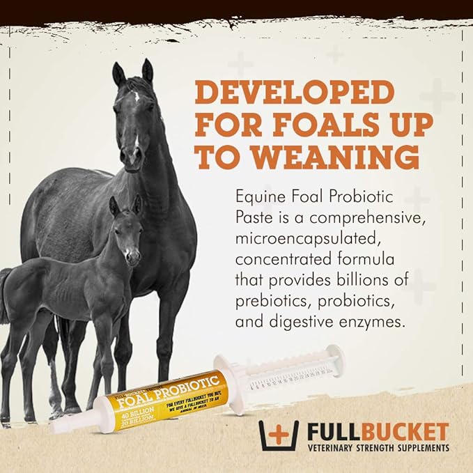Foal Probiotic Paste (Single)