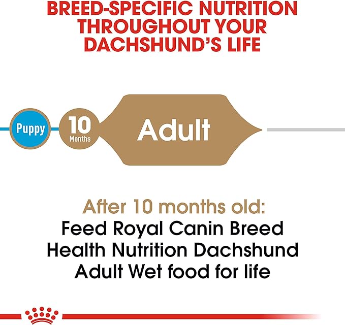 Royal Canin Dachshund Adult Breed Specific Wet Dog Food, 3 oz. can