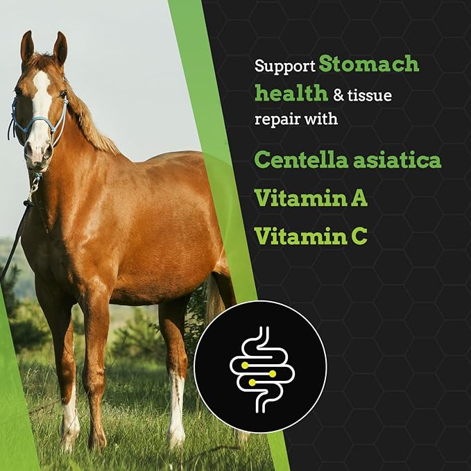 G-Chill All-Natural Digestive Health Support for Horses - 30 Servings - Promotes Stomach & Hindgut Health, Aids in Gastric Ulcer Relief, Enhances Collagen & Fibronectin Production for Tissue Repair