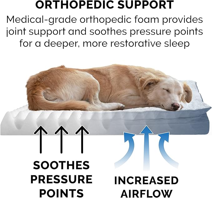 Furhaven Orthopedic Dog Bed for Large/Medium Dogs w/ Pillow Cushion Top & Removable Washable Cover, For Dogs Up to 55 lbs - Minky Plush & Suede Pillow Top Mattress - Stonewash Blue, Large