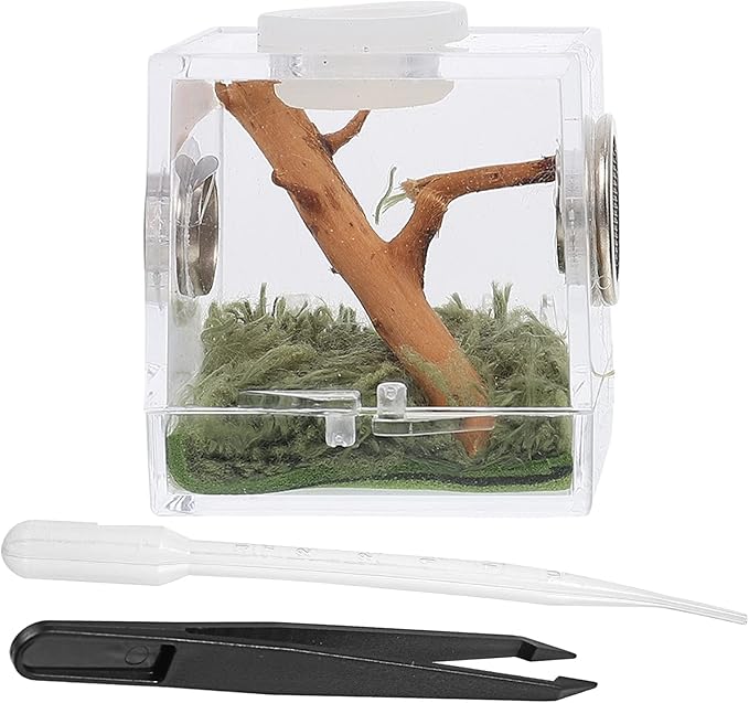 Alipis Fish Tank Fish Tank Jumping Spider Habitat Spider Habitat Box Reptile Terrarium Aquarium Breeding Tank, Acrylic Jumping Spider Micro Box Frog Cricket Breeding Box Snake Terrarium House