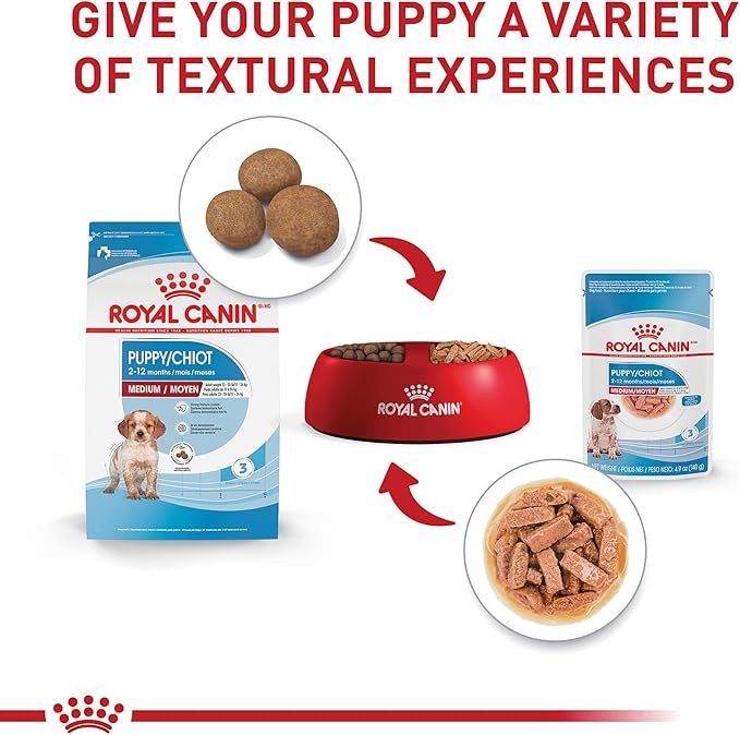 Royal Canin Size Health Nutrition Medium Puppy Chunks in Gravy Wet Dog Food, 4.9 oz pouch (10-pack)