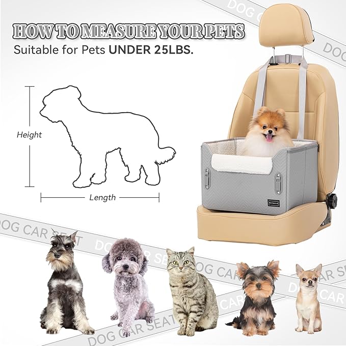 PETSFIT Dog Booster Seat, Portable Dog Car Seats for Small Dogs with Clip-On Leash, Patent Safe Buckles, Dog Booster Car Seat Suitable for Small Pets Up to 25lbs (Light Grey)