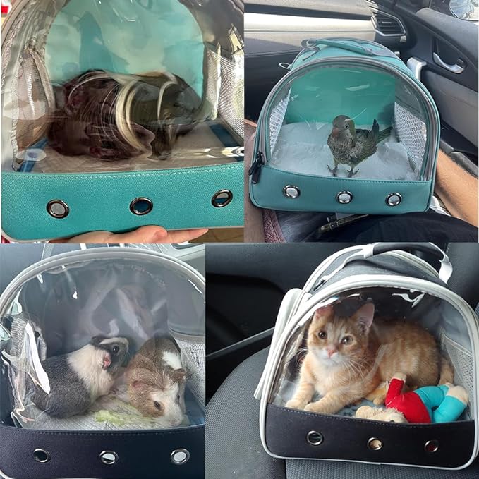 Guinea Pig Carrier Backpack, Clear Bubble Window Backpack for Guinea Pig, Bunny Rat Bird (Orange, Carrier)