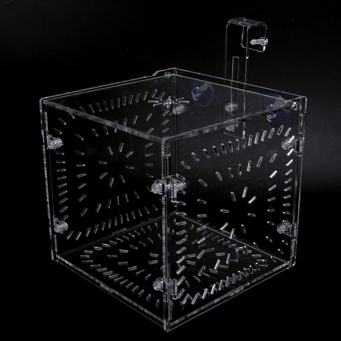 Fish Isolation Breeding Box Acrylic Incubator Floating Aquarium Hatchery Breeding and Parenting Box for Fish Aquarium(15CM*15CM*15CM)