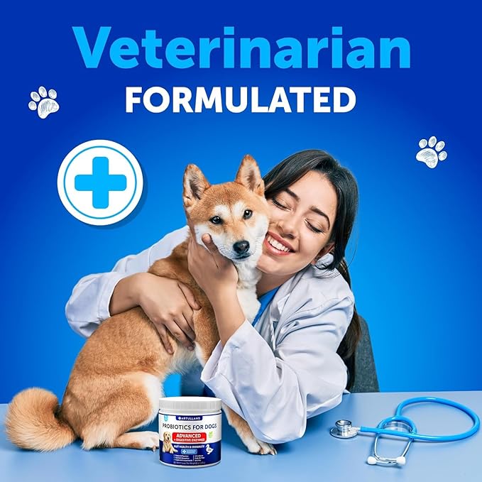 Probiotics for Dogs - Support Gut Health, Itchy Skin, Allergies, Immunity, Yeast Balance - Dog Probiotics and Digestive Enzymes with Prebiotics - Reduce Diarrhea, Gas - 120 Probiotic Chews for Dogs