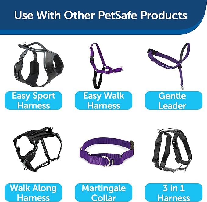 PetSafe Nylon Dog Leash – Strong, Durable, Traditional Style Leash with Easy to Use Bolt Snap – 1" x 6', Deep Purple