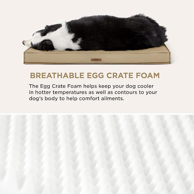 Lesure Waterproof Dog Bed for Medium Dogs - Outdoor Dog Bed with Oxford Fabric Surface, Medium Egg Orthopedic Foam Pet Bed with Removable and Durable Cover, Machine Washable