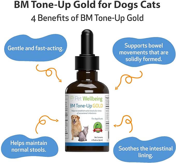 Pet Wellbeing BM Tone-Up Gold for Cats - Vet-Formulated - Diarrhea & Loose or Runny Stools - Natural Herbal Supplement 2 oz (59 ml)