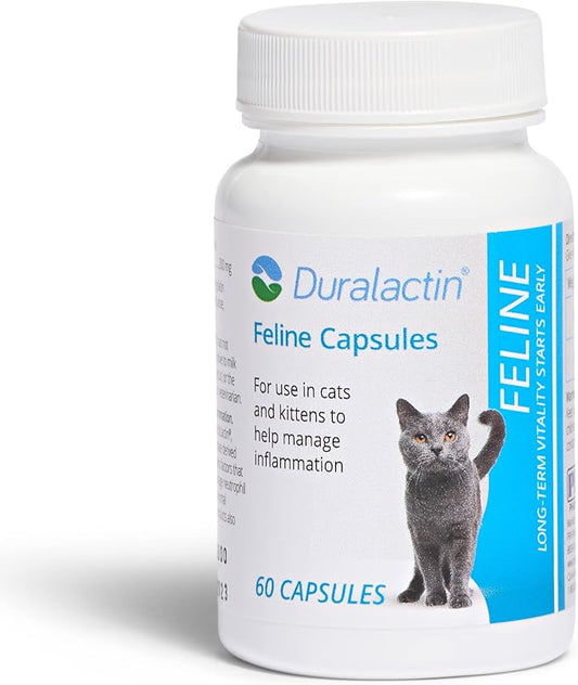 PRN Pharmacal Duralactin Feline - Joint Health Supplement for Cats & Kittens Supports Chronic Soreness, Joint Health & Overall Wellness - Gelatin Capsules Containing Dried Milk Protein - 60 Capsules