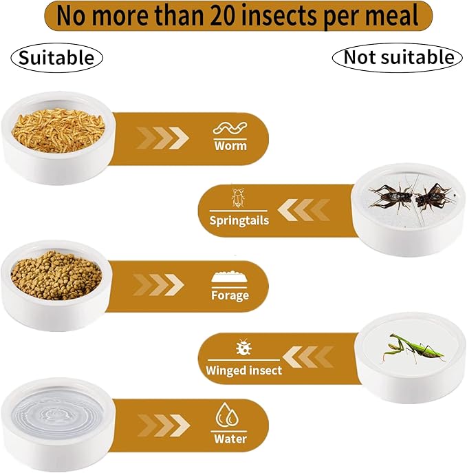 Reptile Food Water Bowl Set Lizard Feeder Ceramics Bowls Worm Live Fodder Container for Bearded Dragon Chameleon Lizard Hermit Crab Gecko Tortoise Spider Pet 3 Pieces