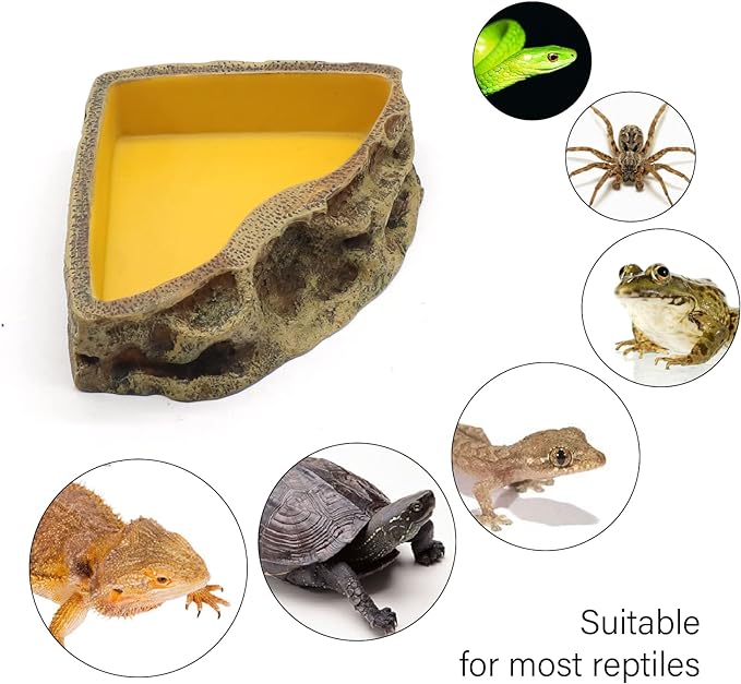 Reptile Feeder Resin Bowl Amphibian Reptile Bowl for Reptile Lizard Gecko Bearded Dragon Turtle
