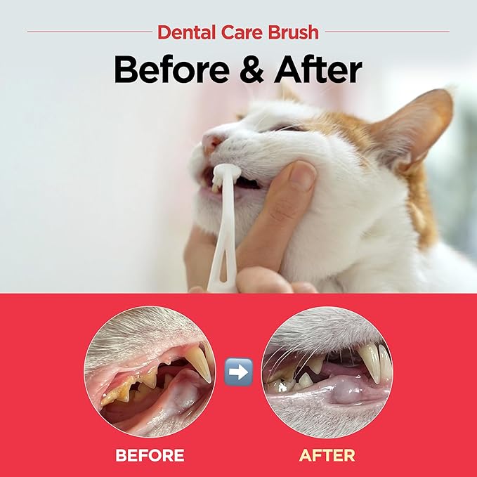 Dental Care Brush (Soft Bristles) - Toothbrush for Cat and Small Dog with Horizontal Head & Easy Grip Handle (5)