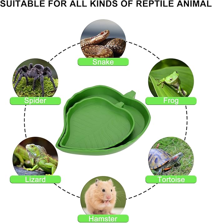 Reptile Leaf Food Water Bowl, 2 Pieces Reptile Leaf Shape Dish Flat Drinking Bowl Water Plate for Turtle Lizards, Hamsters, Snakes 2 Sizes