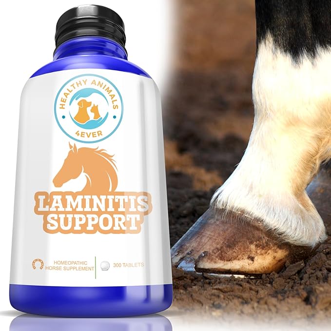 All-Natural Horse Laminitis Support - Horse Hoof Care Products for Damaged or Injured Hooves - Hoof Supplements for Horses - Homeopathic & Highly Effective - 300 Tablets