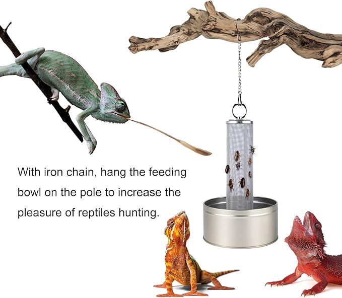 Chameleon Feeding Bowl, Climble Chameleon CageAccseeories Feeder, Fit for Lizard, Gecko, Beared Dragon,Frog, Terrarium and Greenhouse（Silver）