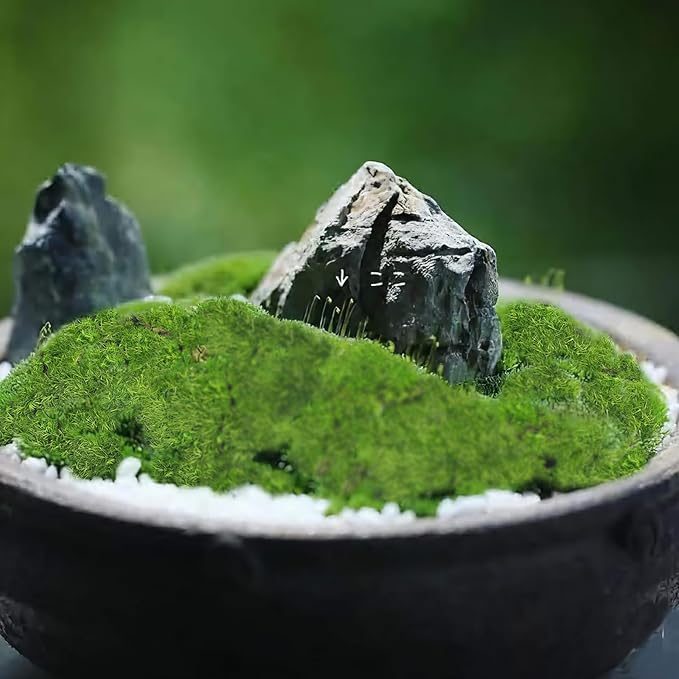 FAICOIA Preserved Pillow Moss Bulk Green Moss Balls for Bowls Natural Green Decorative 1.29 sq.ft Preserved Pole Moss Pillow for Wall Art Terrariums Crafts Fairy Gardens Pot Plants Easter Table Decor