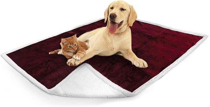 PetAmi WATERPROOF Dog Blanket for Medium Large Dog, Pet Puppy Blanket Couch Cover Protection, Sherpa Fleece Cat Blanket, Sofa Bed Furniture Protector Reversible Soft Plush Washable, 60x40 Wine Red