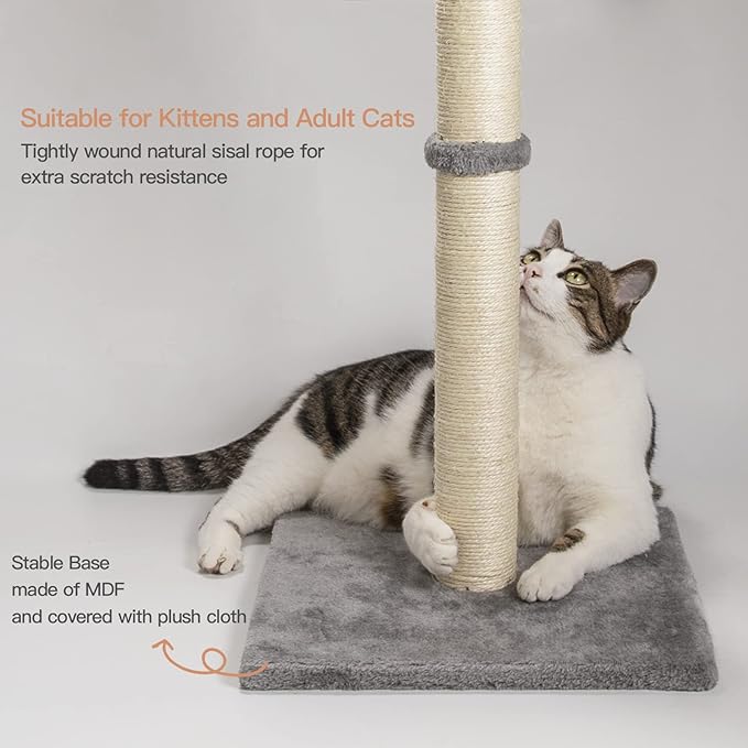 29 Inches Cat Scratching Post, Cat Scratch Post Kitten Scratcher with Sisal Rope, Scratching Post for Indoor Cats with Hanging Ball