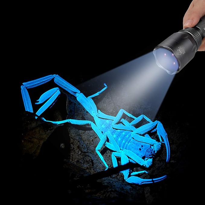 S3 365nm UV Flashlight with 3 LEDs, Rechargeable Black Light Torch for Resin Curing, Rocks Searching, Scorpion & Pet Urine Finding