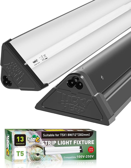 LUCKY HERP T5 Reptile Light Fixture Combo Kit 8W (New Upgrade), UVB Reptile Light Fixture with Desert UVB 10.0 12" Fluorescent Tube, UVA UVB Reptile Light for Lizard, Bearded Dragon, Tortoise