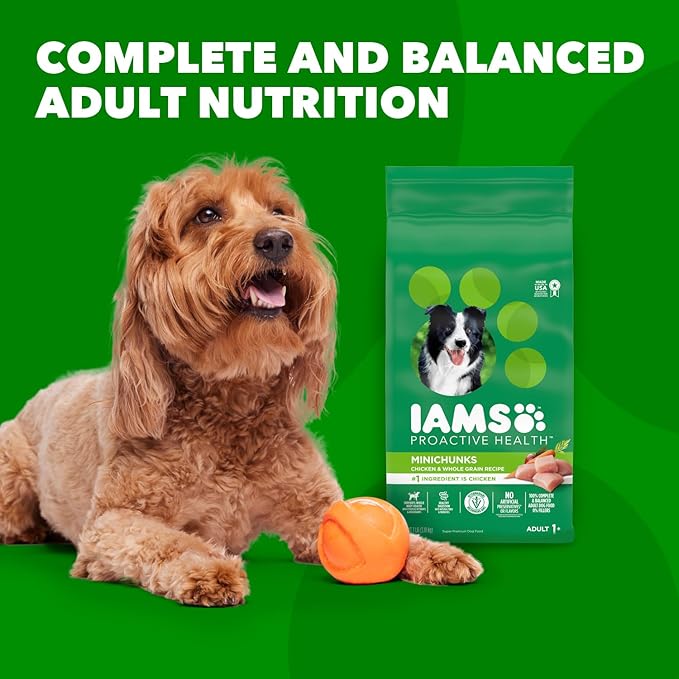 IAMS Adult Minichunks Small Kibble High Protein Dry Dog Food with Real Chicken, 30 lb. Bag,(Packaging may vary)