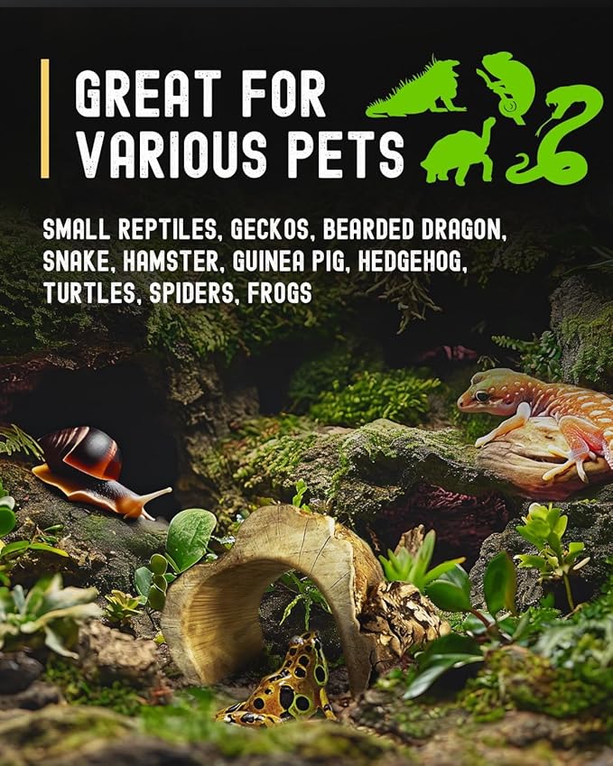 Java Coffee Wood Hideout - House Made from Retired Coffee Bean Trees - Gecko, Reptile, Lizard and Small Animal Hideaway - Hand Crafted - 100% Natural, Strong and Unique Looking - Small - 2 Pack