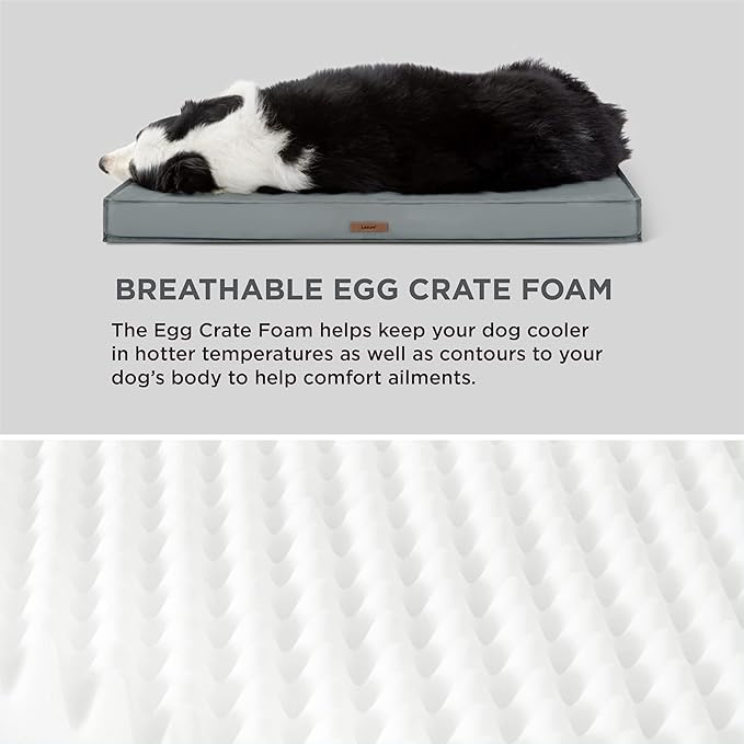 Lesure XL Waterproof Dog Beds - Outdoor Dog Bed Washable with Oxford Fabric Surface, Extra Large Egg Orthopedic Foam Pet Bed with Removable and Durable Cover, Machine Washable