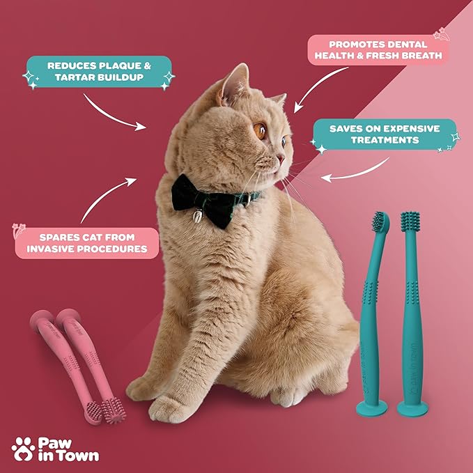 PAWINTOWN Soft Cat Toothbrush Set – Suitable for Dogs – Food Grade Silicone – Cat Dental Care, Cat Teeth Cleaning, Cat Tooth Brushing Kit (Tropical Teal)