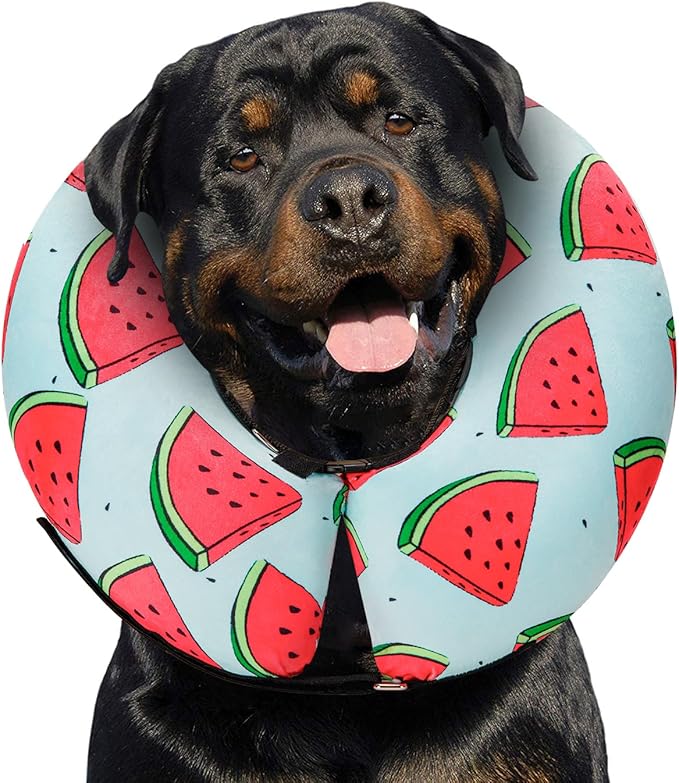 Dog Cone Collar for Small Medium Large Dogs for After Surgery, Pet Inflatable Neck Donut Collar Soft Protective Recovery Cone for Dogs and Cats - Alternative E Collar Does Not Block Vision - Cyan,XL