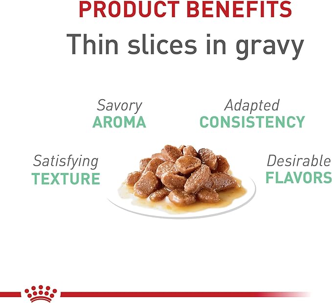 Royal Canin Feline Digestive Care Thin Slices in Gravy Wet Cat Food, 5.1 oz can (24-Count)