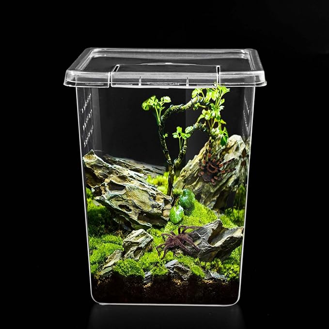 6 Pcs Tarantula Enclosure Insect Spider Terrariums Breeding Box Jumping Spider Enclosure Breeding Box Hatching Container Insect Container Breeding Box (Small Size)