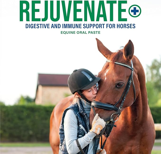 Rejuvenate+ Equine Oral Paste (60g Oral Syringe, Pack of 1) Digestive and Immune Support for Horses - Horse Supplements for Digestion